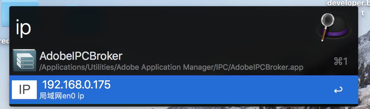 图片4097－Alfred工作流workflows实例 - 查询本地ip