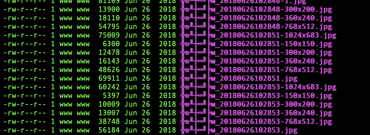 图片4379－Linux批量修改文件名前缀rename命令